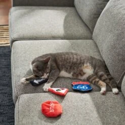 Frisco Road Trip Traffic Signs Plush Cat Toy With Catnip 7 Frisco Road Trip Traffic Signs Plush Cat Toy With Catnip -Chewy 262024 PT3. AC SS1800 V1618598335