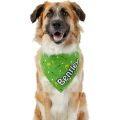 Frisco Golf Personalized Dog & Cat Bandana -Chewy 263017 PT6. AC SS1800 V1619557636