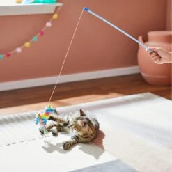 Frisco Pinata Teaser Wand Cat Toy With Catnip -Chewy 264446 PT3. AC SS1800 V1618948636