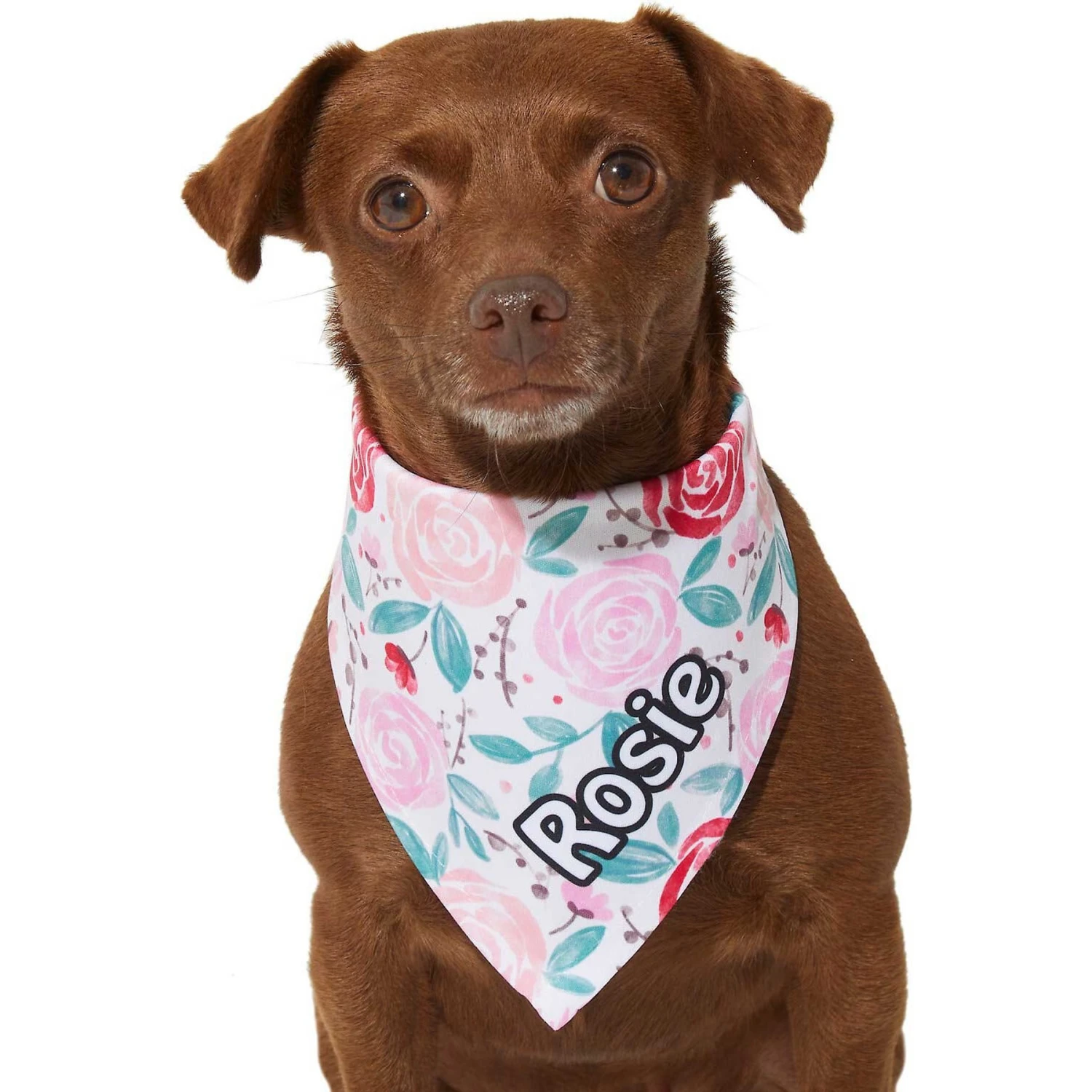 Frisco Watercolor Roses Personalized Dog & Cat Bandana 8 Frisco Watercolor Roses Personalized Dog & Cat Bandana - Image 6
