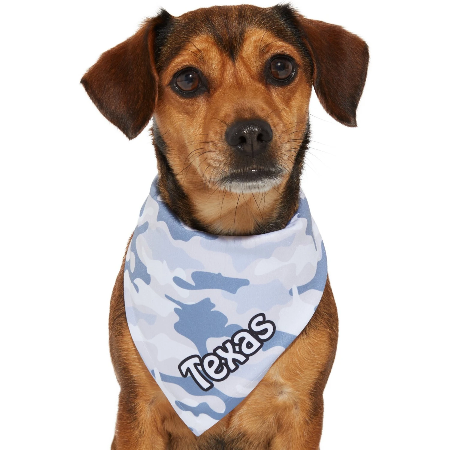 Frisco Gray Camo Personalized Dog & Cat Bandana 9 Frisco Gray Camo Personalized Dog & Cat Bandana - Image 7