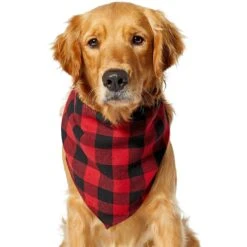 Red Buffalo Plaid Dog & Cat Bandana -Chewy 267899 PT2. AC SS1800 V1637649415