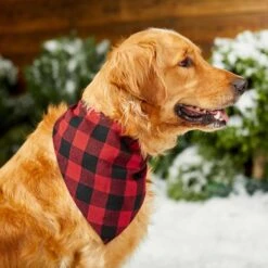 Red Buffalo Plaid Dog & Cat Bandana -Chewy 267899 PT5. AC SS1800 V1637666506