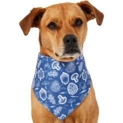 Frisco Fall Vibes Dog & Cat Bandana 12 Frisco Fall Vibes Dog & Cat Bandana -Chewy 267913 PT2. AC SS1800 V1637722647
