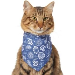 Frisco Fall Vibes Dog & Cat Bandana 13 Frisco Fall Vibes Dog & Cat Bandana -Chewy 267913 PT3. AC SS1800 V1637729806