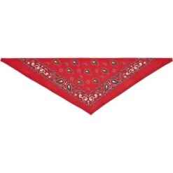 Frisco Red Paisley Dog & Cat Bandana 14 Frisco Red Paisley Dog & Cat Bandana -Chewy 267919 PT4. AC SS1800 V1637674037