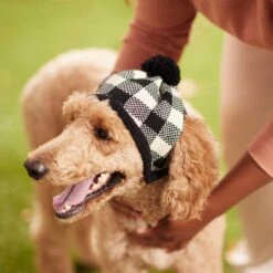 Frisco Plaid Dog & Cat Knitted Hat 11 Frisco Plaid Dog & Cat Knitted Hat -Chewy 267925 PT8. AC SS1800 V1629755603