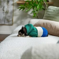 Frisco Colorblock Dog & Cat Hoodie With Sleeves -Chewy 267968 PT6. AC SS1800 V1637715446