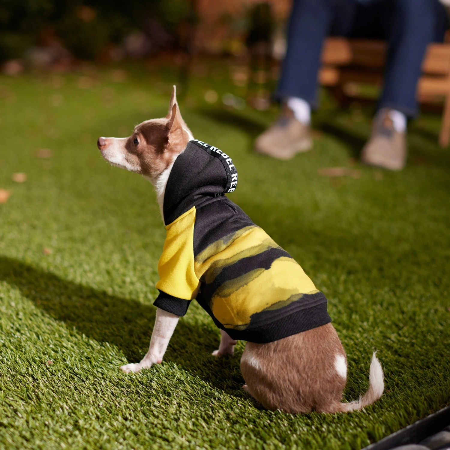 Frisco Rebel Dog & Cat Hoodie 9 Frisco Rebel Dog & Cat Hoodie - Image 7