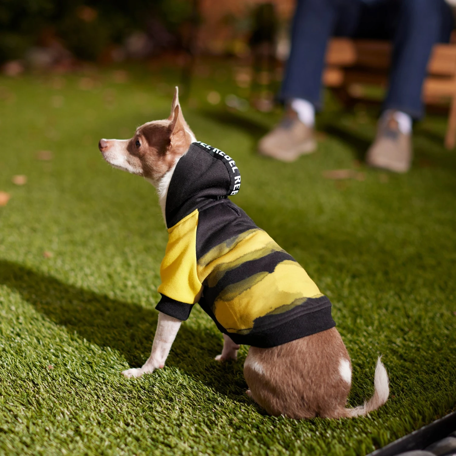 Frisco Rebel Dog & Cat Hoodie 10 Frisco Rebel Dog & Cat Hoodie - Image 8