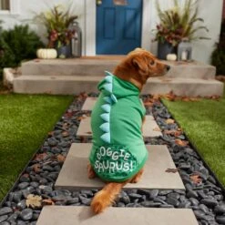 Frisco Doggiesaurus Dog & Cat Hoodie, Green 17 Frisco Doggiesaurus Dog & Cat Hoodie, Green -Chewy 268033 PT8. AC SS1800 V1629763006