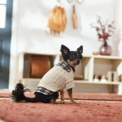 Frisco Cream Cable Knit Dog & Cat Sweater, White/Red Plaid 15 Frisco Cream Cable Knit Dog & Cat Sweater, White/Red Plaid -Chewy 268057 PT8. AC SS1800 V1629766069