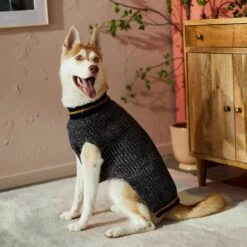 Frisco Heathered Knit Dog & Cat Sweater With 60% Recycled Content 15 Frisco Heathered Knit Dog & Cat Sweater With 60% Recycled Content -Chewy 268159 PT8. AC SS1800 V1629758773