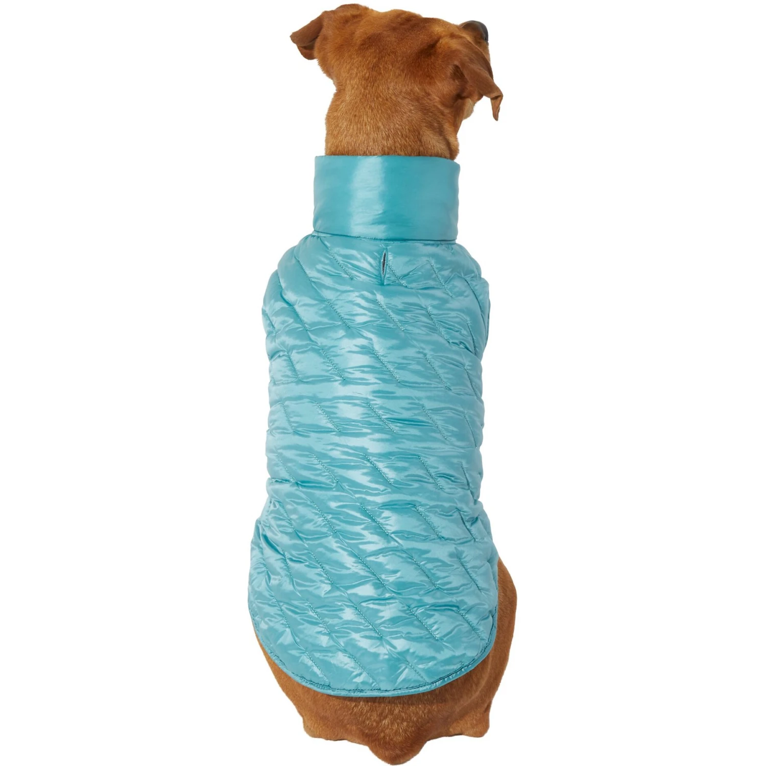 Frisco Lightweight Packable Insulated Dog & Cat Quilted Puffer Coat, Ocean Teal 3 Frisco Lightweight Packable Insulated Dog & Cat Quilted Puffer Coat, Ocean Teal