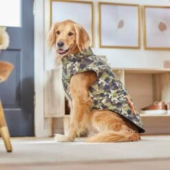Frisco Mediumweight Camo Print Insulated Dog & Cat Zippered Coat, Green 13 Frisco Mediumweight Camo Print Insulated Dog & Cat Zippered Coat, Green -Chewy 268295 PT8. AC SS1800 V1629755320