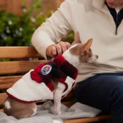 Frisco Mediumweight Red Plaid Insulated Dog & Cat Sherpa Coat 15 Frisco Mediumweight Red Plaid Insulated Dog & Cat Sherpa Coat -Chewy 268320 PT8. AC SS1800 V1629836573