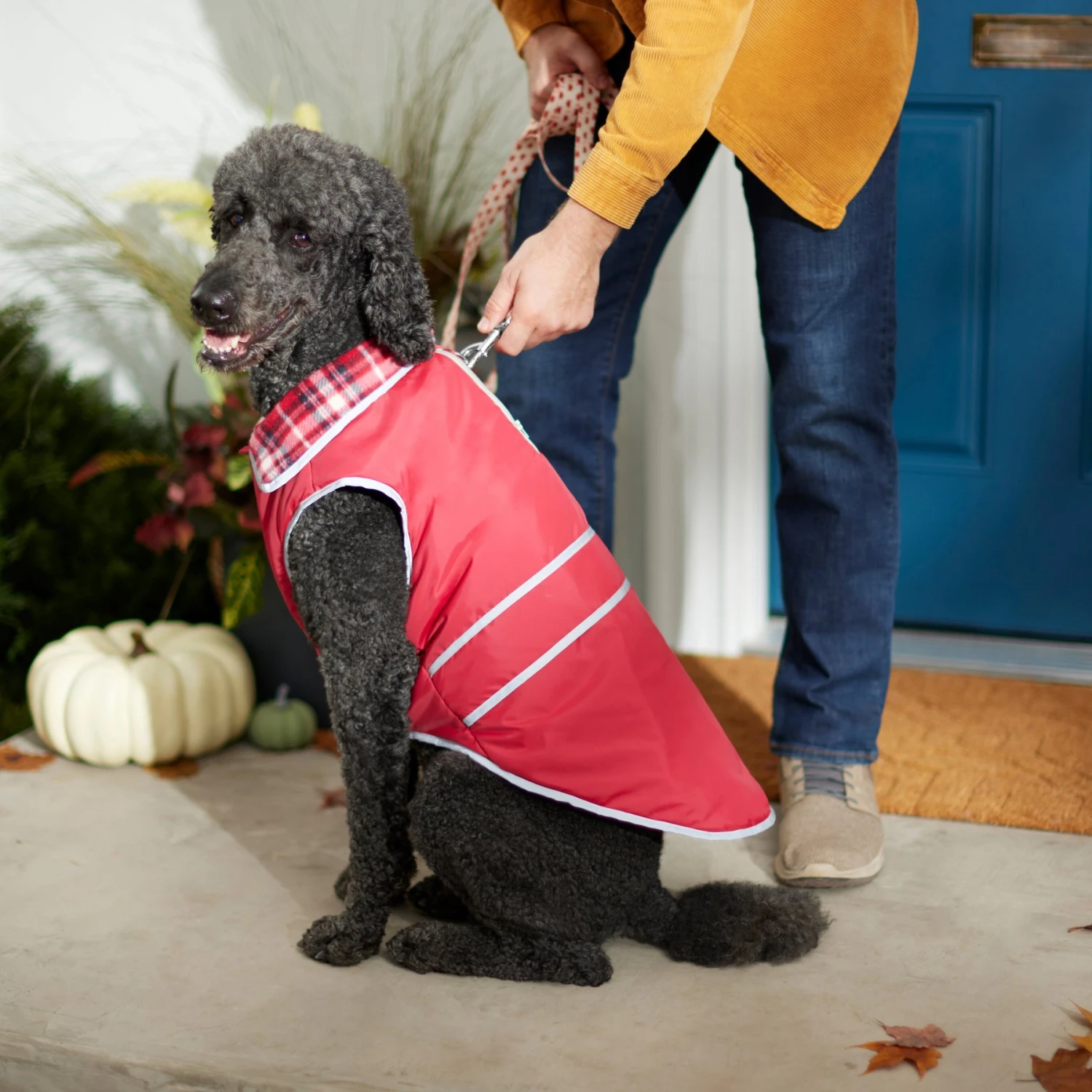 Frisco Mediumweight Reflective Water-Resistant Insulated Dog & Cat Coat 9 Frisco Mediumweight Reflective Water-Resistant Insulated Dog & Cat Coat - Image 7