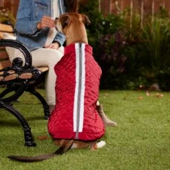 Frisco Mediumweight Reflective 2-in-1 Dog & Cat Fleece Coat 13 Frisco Mediumweight Reflective 2-in-1 Dog & Cat Fleece Coat -Chewy 268359 PT8. AC SS1800 V1629759326