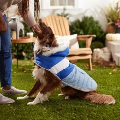 Frisco Heavyweight Chevron Insulated Dog & Cat Parka With Pocket 15 Frisco Heavyweight Chevron Insulated Dog & Cat Parka With Pocket -Chewy 268405 PT8. AC SS1800 V1629766395