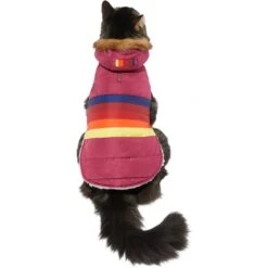 Frisco Mediumweight Colorblock Adventure Insulated Dog & Cat Parka 11 Frisco Mediumweight Colorblock Adventure Insulated Dog & Cat Parka -Chewy 268421 PT2. AC SS1800 V1628779779