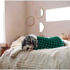 Frisco Dog & Cat Cozy Plush Fleece PJs, Green Plaid -Chewy 268517 PT5. AC SS1800 V1637644798