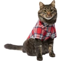Frisco Red Plaid Dog & Cat Shirt 14 Frisco Red Plaid Dog & Cat Shirt -Chewy 268604 PT3. AC SS1800 V1637657839