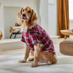 Frisco Red Plaid Dog & Cat Shirt 19 Frisco Red Plaid Dog & Cat Shirt -Chewy 268604 PT8. AC SS1800 V1629757681