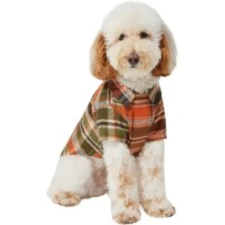 Frisco Orange & Olive Plaid Dog & Cat Flannel Shirt 13 Frisco Orange & Olive Plaid Dog & Cat Flannel Shirt -Chewy 268612 PT2. AC SS1800 V1637682457