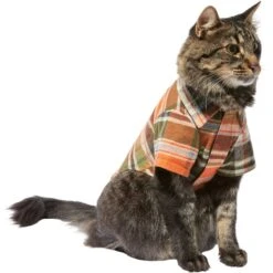Frisco Orange & Olive Plaid Dog & Cat Flannel Shirt 14 Frisco Orange & Olive Plaid Dog & Cat Flannel Shirt -Chewy 268612 PT3. AC SS1800 V1637659314