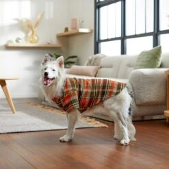 Frisco Orange & Olive Plaid Dog & Cat Flannel Shirt 18 Frisco Orange & Olive Plaid Dog & Cat Flannel Shirt -Chewy 268612 PT7. AC SS1800 V1637721727