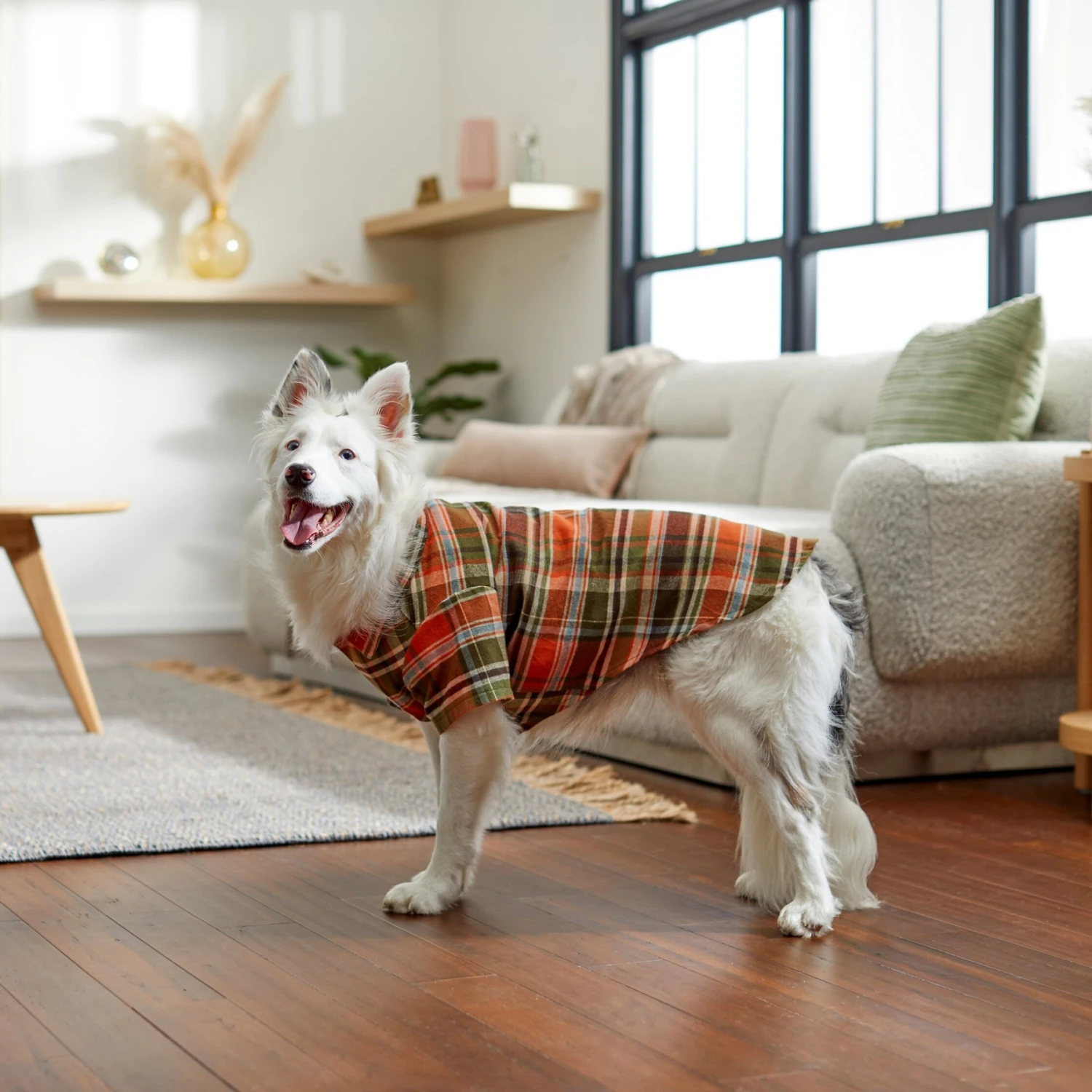Frisco Orange & Olive Plaid Dog & Cat Flannel Shirt 11 Frisco Orange & Olive Plaid Dog & Cat Flannel Shirt - Image 9
