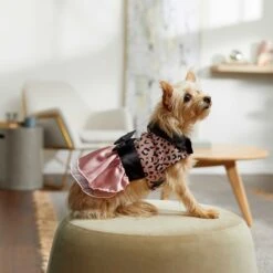 Frisco Pink Cheetah Dog & Cat Dress 16 Frisco Pink Cheetah Dog & Cat Dress -Chewy 268661 PT6. AC SS1800 V1637672527