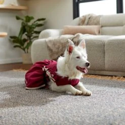 Frisco Plum Dog & Cat Dress 14 Frisco Plum Dog & Cat Dress -Chewy 268677 PT5. AC SS1800 V1637675815