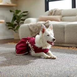 Frisco Plum Dog & Cat Dress 15 Frisco Plum Dog & Cat Dress -Chewy 268677 PT8. AC SS1800 V1629766023