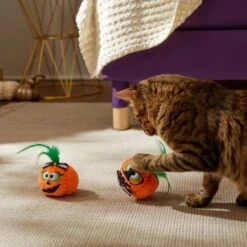 Frisco Halloween Nerdy Jack-o-Lanterns Plush Cat Toy With Catnip, 2 Count 8 Frisco Halloween Nerdy Jack-o-Lanterns Plush Cat Toy With Catnip, 2 Count -Chewy 270313 PT3. AC SS1800 V1624824951