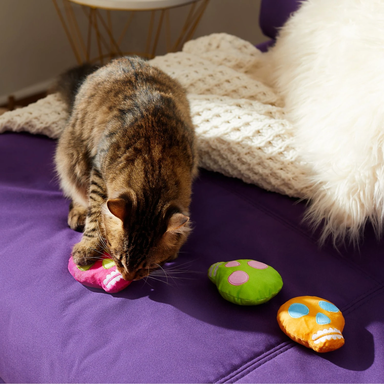 Frisco Colorful Skulls Plush Cat Toy With Catnip, 3 Count 6 Frisco Colorful Skulls Plush Cat Toy With Catnip, 3 Count - Image 4