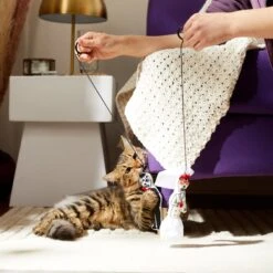 Frisco Sugar Skull Bride & Groom Bouncy Cat Toy With Catnip, 2 Count 7 Frisco Sugar Skull Bride & Groom Bouncy Cat Toy With Catnip, 2 Count -Chewy 270343 PT3. AC SS1800 V1624817778