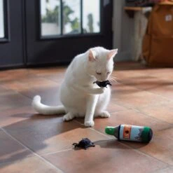 Frisco Camping Bug Spray Plush Cat Toy With Catnip, 3 Count 7 Frisco Camping Bug Spray Plush Cat Toy With Catnip, 3 Count -Chewy 270969 PT3. AC SS1800 V1625009346