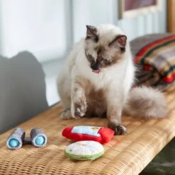 Frisco Camping Compass & Lantern Plush Cat Toy With Catnip, 2 Count 7 Frisco Camping Compass & Lantern Plush Cat Toy With Catnip, 2 Count -Chewy 270985 PT3. AC SS1800 V1625009053