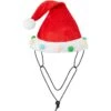 Frisco Holiday Poms Dog & Cat Santa Hat 1 Frisco Holiday Poms Dog & Cat Santa Hat -Chewy 276194 MAIN. AC SS1800 V1631302615