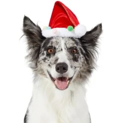 Frisco Holiday Poms Dog & Cat Santa Hat 9 Frisco Holiday Poms Dog & Cat Santa Hat -Chewy 276194 PT2. AC SS1800 V1631303507