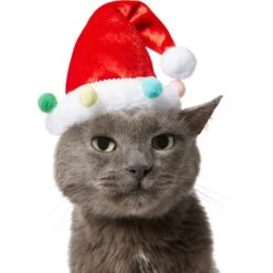 Frisco Holiday Poms Dog & Cat Santa Hat 10 Frisco Holiday Poms Dog & Cat Santa Hat -Chewy 276194 PT3. AC SS1800 V1631303179