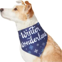 Frisco Winter Wonderland Dog & Cat Bandana 13 Frisco Winter Wonderland Dog & Cat Bandana -Chewy 276279 PT3. AC SS1800 V1637688134