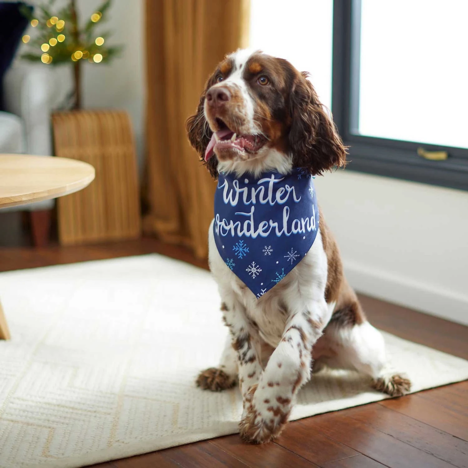 Frisco Winter Wonderland Dog & Cat Bandana 8 Frisco Winter Wonderland Dog & Cat Bandana - Image 6
