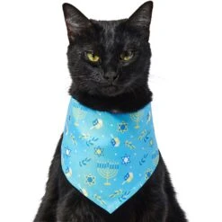 Frisco Festive Hanukkah Dog & Cat Bandana 12 Frisco Festive Hanukkah Dog & Cat Bandana -Chewy 276282 PT2. AC SS1800 V1637667990