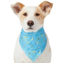 Frisco Festive Hanukkah Dog & Cat Bandana 13 Frisco Festive Hanukkah Dog & Cat Bandana -Chewy 276282 PT3. AC SS1800 V1637673704