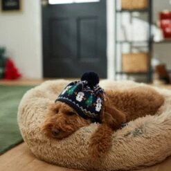 Frisco Jolly Snowman Dog & Cat Knitted Hat 11 Frisco Jolly Snowman Dog & Cat Knitted Hat -Chewy 276303 PT8. AC SS1800 V1631300384