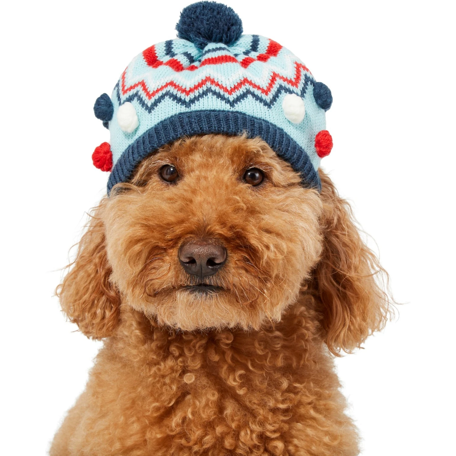 Frisco Pom Pom Dog & Cat Knitted Hat 5 Frisco Pom Pom Dog & Cat Knitted Hat - Image 3