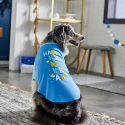 Frisco Happy Hanukkah Dog & Cat T-shirt 13 Frisco Happy Hanukkah Dog & Cat T-shirt -Chewy 276480 PT5. AC SS1800 V1637646712