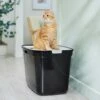 Frisco Top Entry Cat Litter Box, Extra Large 1 Frisco Top Entry Cat Litter Box, Extra Large -Chewy 278183 MAIN. AC SS1800 V1675279642